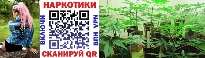 Где продают наркотики Иланский COCAIN  Меф мяу мяу  АМФЕТАМИН  Каннабис  APVP 